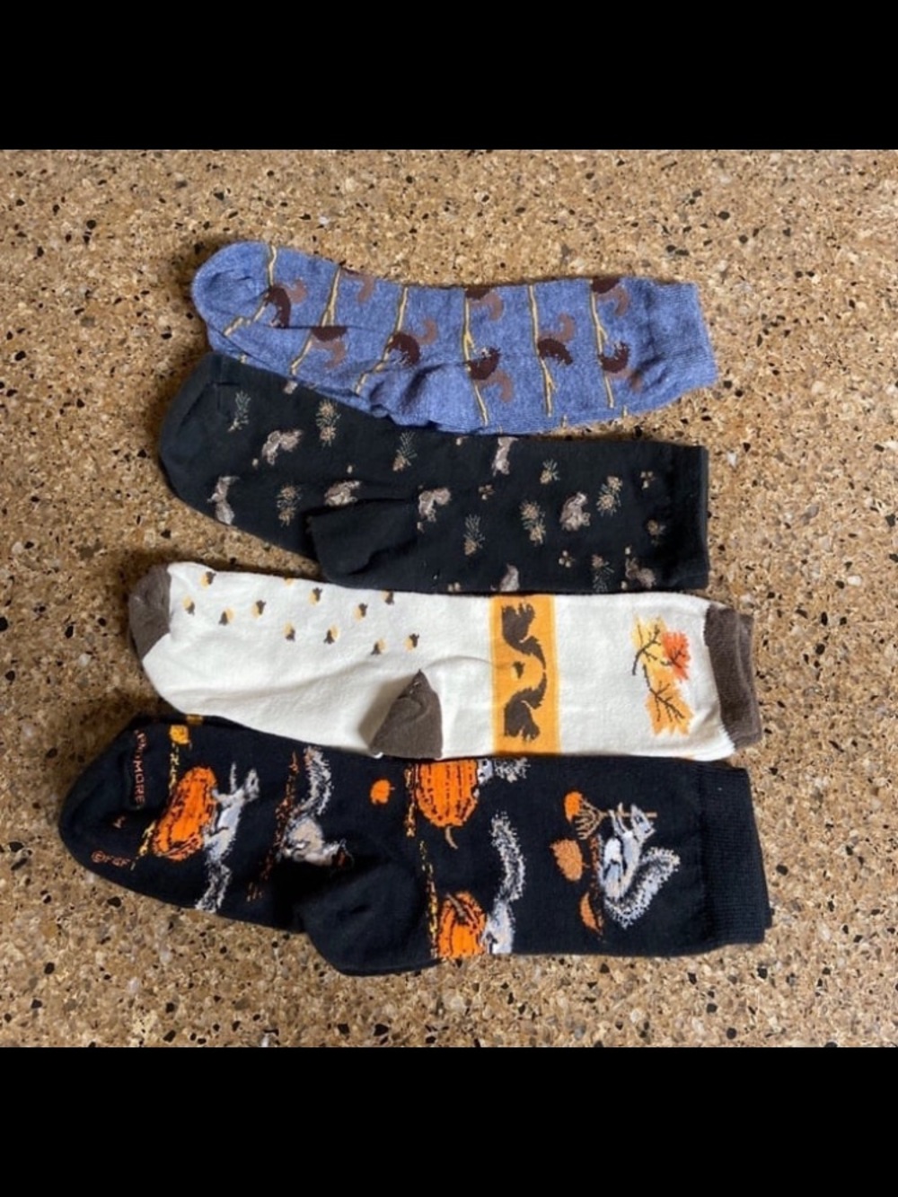 Women’s Squirrel Socks - 4 Pairs